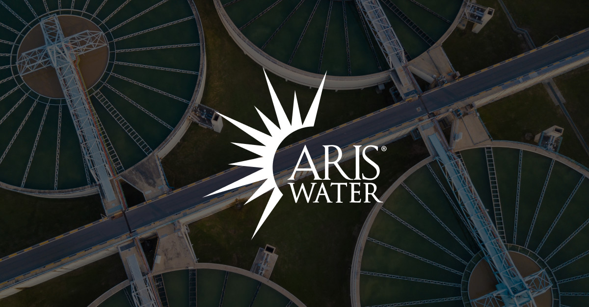 Read more about the article In-Depth Analysis of ARIS Stock: A Standout Investment to Watch